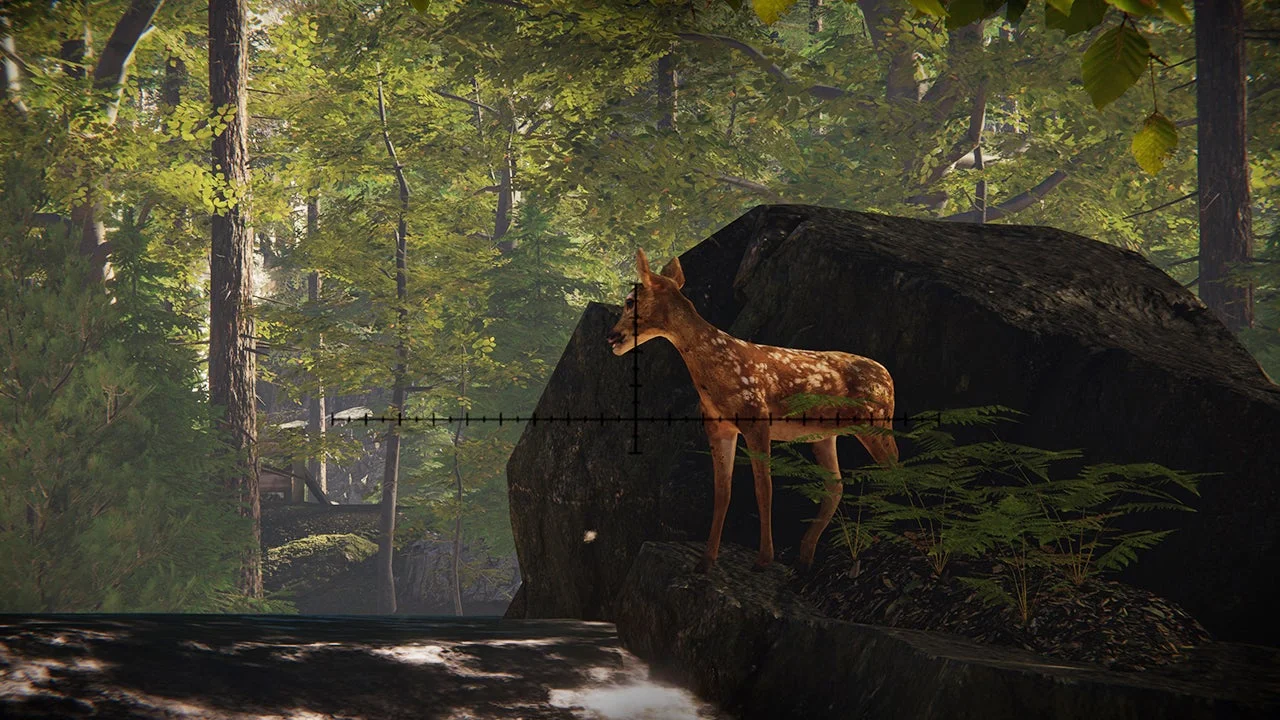 Forest Ranger Simulator PC DOwnload